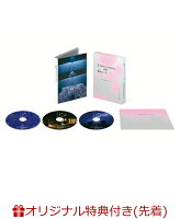 5 Centimeters per Second Deluxe Edition (Acrylic Keychain (Red))