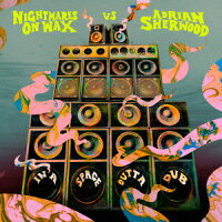 In a Space Outa Dub (1CD)