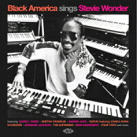 Black America Sings Stevie Wonder (1CD)