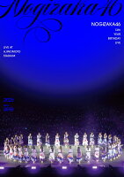 乃木坂46 13th YEAR BIRTHDAY LIVE DAY2 (Standard Edition DVD)