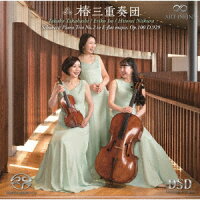 Schubert: Piano Trio No. 2 in E-flat Major (1CD)
