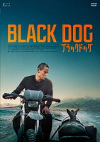 Black Dog