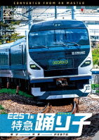 E257 Series Limited Express Odoriko Tokyo to Ito to Izukyu-Shimoda