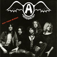 Fly! Aerosmith (1CD)