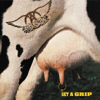 Get a Grip (1CD)