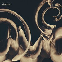 Dissolution (Analog Record) (1CD)