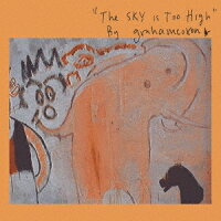 Graham Coxon - The Sky Is Too High (1CD)